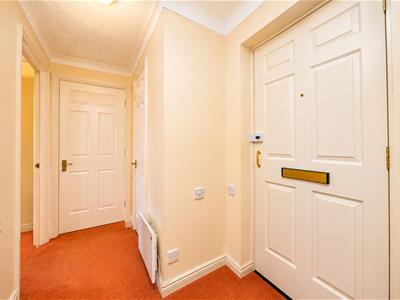Picture 11